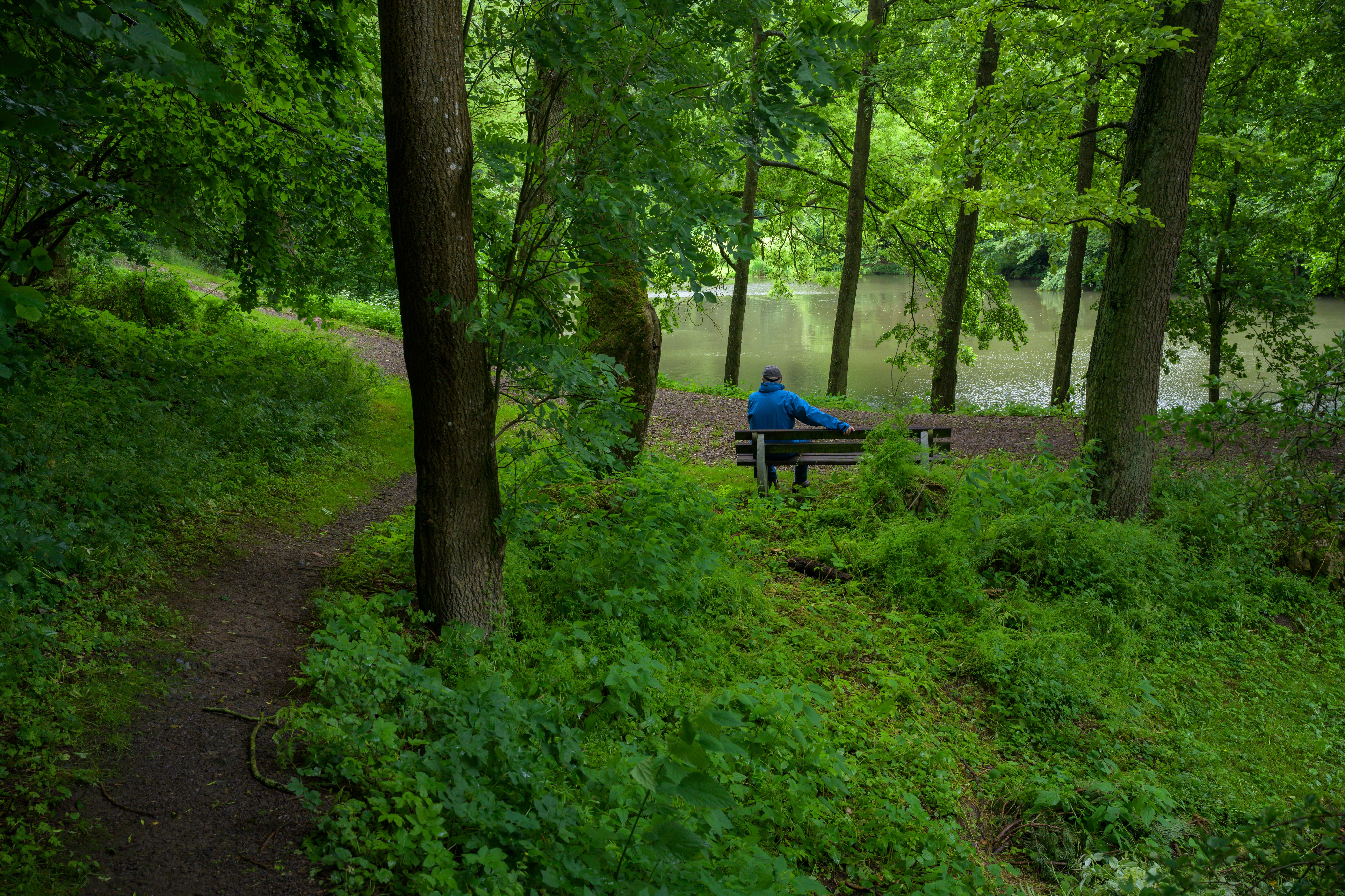 Ein Mann sitzt auf einer Parkbank am Teich vom Kloster Flechtorf