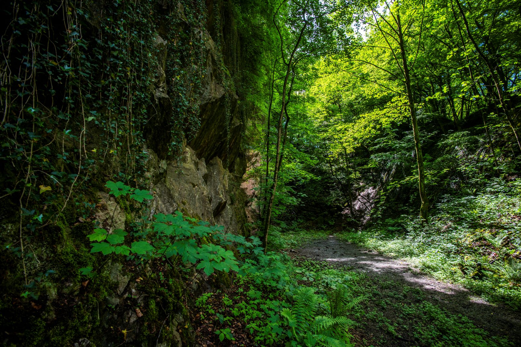 Einblick in den Steinbruch Peperburg