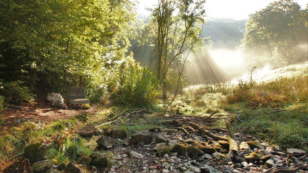 Bank an der Almequelle