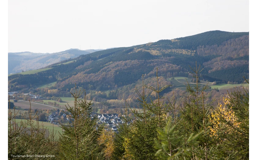 Aussicht vom Ginsterkopf auf Elleringhausen bei blauem Himmel