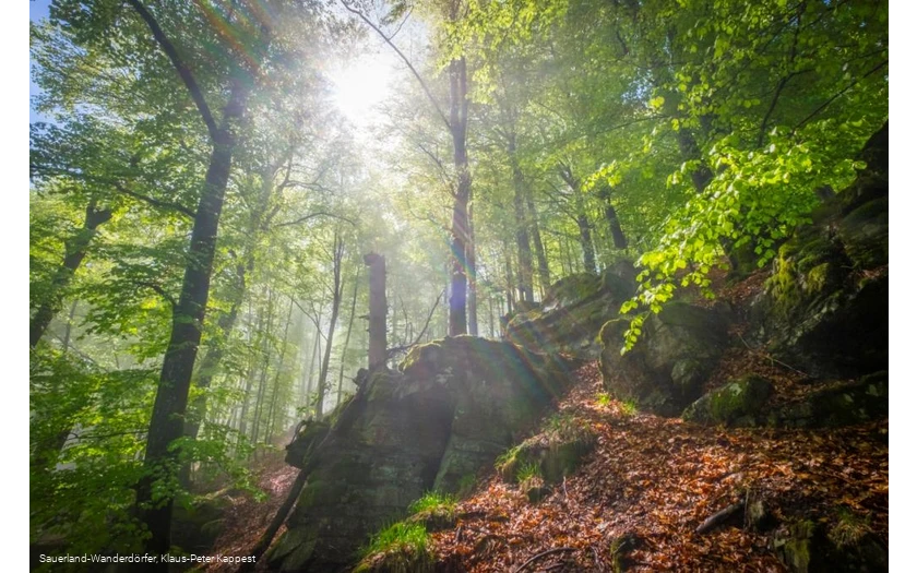 Hollenfelsen im Sonnenlicht