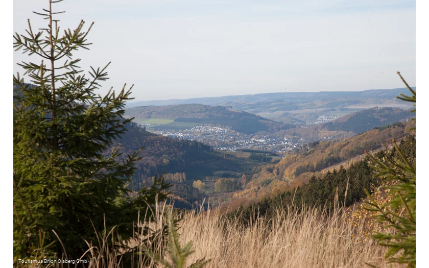 Sauerland-Wanderdörder; Der Ginsterkopf mit Blick auf die Gierskopp