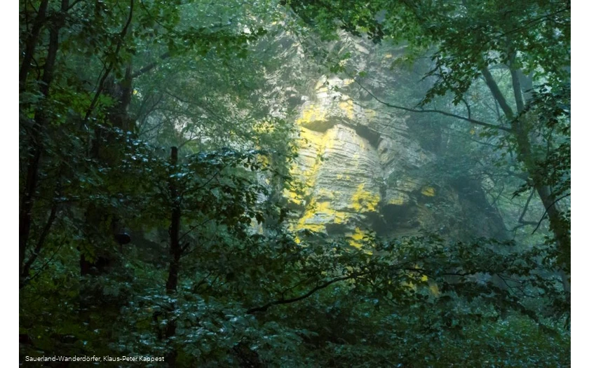 Mystischer Hollenfelsen im Wald bei Schmallenberg-Bödefeld