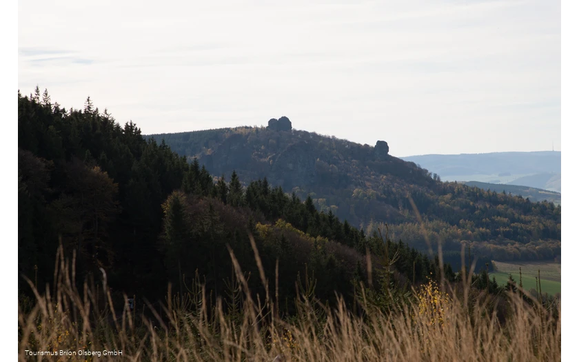 Ginsterkopf mit Blick auf die Bruchhauser Steine