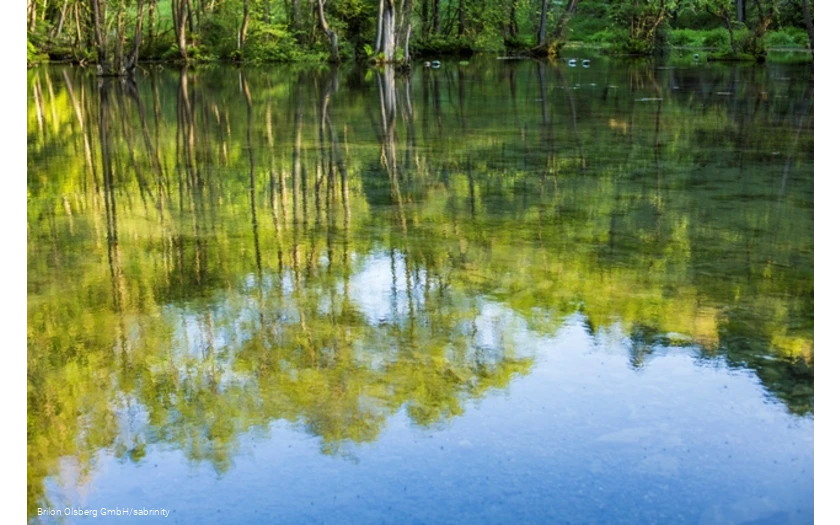 Bäume spiegeln sich im klaren Wasser der Almequellen