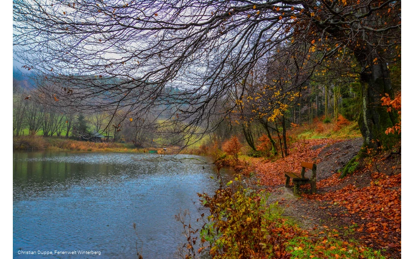 See Hildfeld Herbst