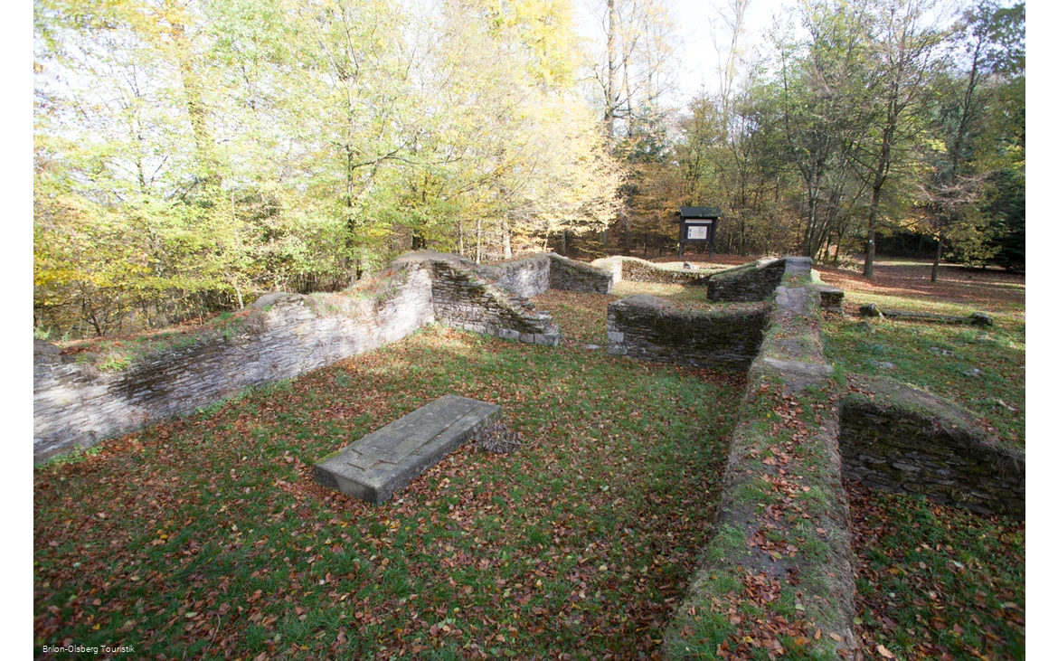 Wallanlage im Herbstwald