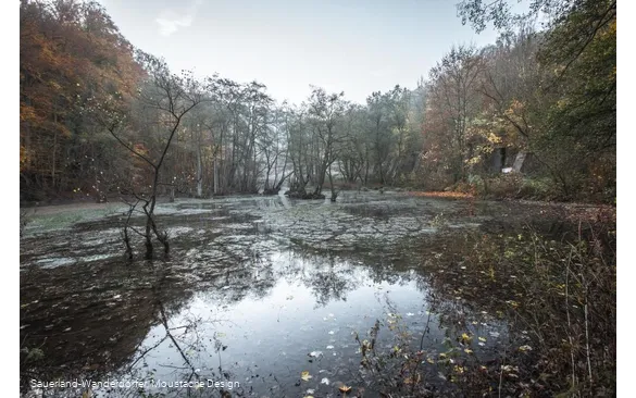 Almequellen im Herbst