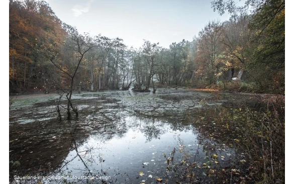 Almequellen im Herbst