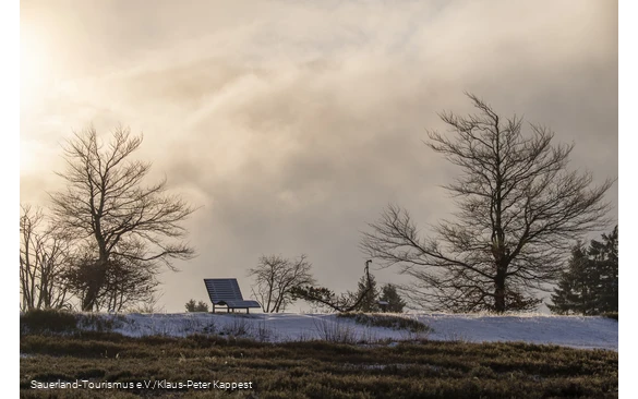 An einem Polarlichtmorgen steht eine einsame Bank auf dem Kahlen Asten