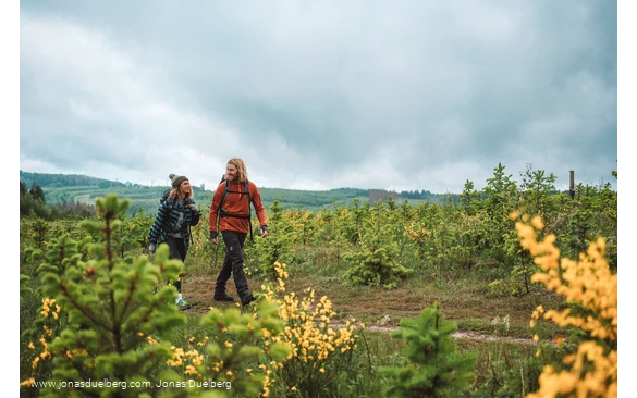Wanderpaar auf einem Hoehenzug im Sauerland