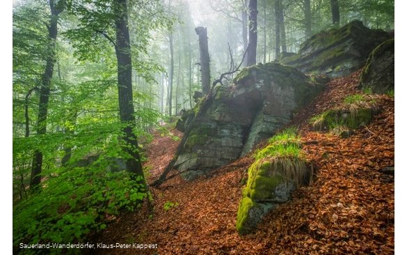 Unterhalb des Hollenfelsens bei Bödefeld im Sauerland