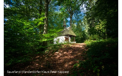 Blick auf die Friedenskapelle mitten im Wald, die von der Sonne angestrahlt wird