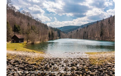 Ein voller Schmalahsee im frühen Frühling, die Bäume sind alle noch ohne Laub