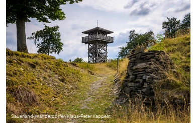 Blick auf den Turm auf dem Gelände der Schwalenburg