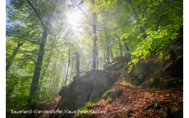 Hollenfelsen im Sonnenlicht