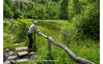 Ranger im Schwarzbachtal