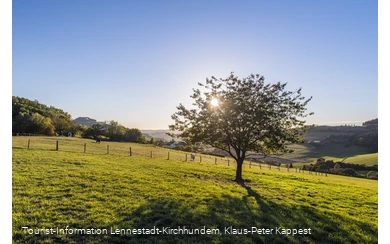 Sauerland-Seelenort Lausebuche