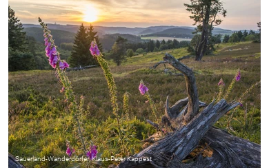 Blick von der Hochheide in den Sonnenuntergang