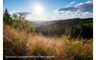 Blick ins Tal mit leichten Sommerwolken vom Ginsterkopf