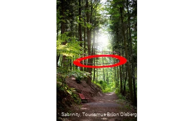 Station 8 - Feenkranz