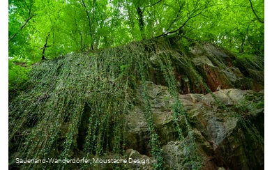 Blick nach oben auf die Felswand im Steinbruch Peperburg