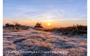 Sonnenaufgang auf dem Osterkopf in Willingen bei Frost