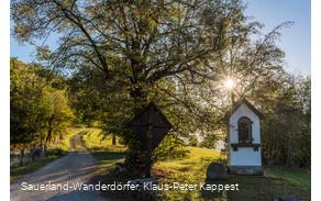 Kreuz und Muttergottes im Heiligenhäuschen vor der Lausebuche in der herrlichen Sommersonne