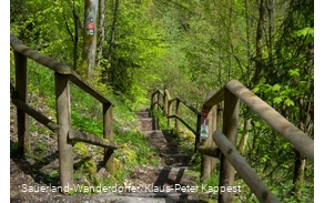 Ein schmaler Weg führt hinab über den Rothaarsteig