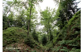 Steinbruch am Schinkenkeller, Blick in den Himmel