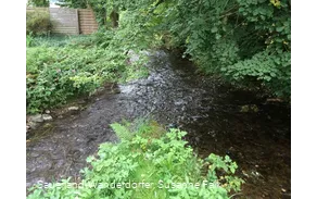 Nuhne Ursprung