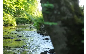 Der Nuhne-Ursprung