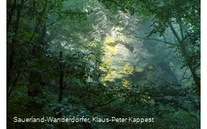 Mystischer Hollenfelsen im Wald bei Schmallenberg-Bödefeld