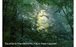 Mystischer Hollenfelsen im Wald bei Schmallenberg-Bödefeld