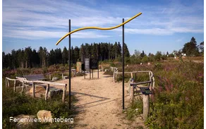 Der Beginn des Goldenen Pfades in der Niedersfelder Hochheide