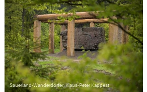Blick durch eine grüne Blätterwand auf den großen Stein