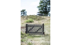 Holztor an der Schwalenburg