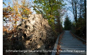 Kyrillpfad in der Abenddämmerung