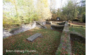 Wallanlage im Herbstwald