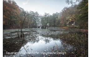 Almequellen im Herbst