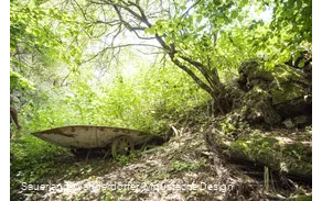 Schubkarre im Wald
