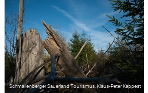 Abgestorbener Baum am Kyrillpfad vor blauem Himmel
