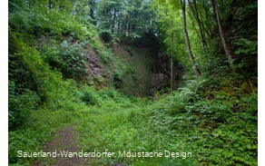 Blick in den Steinbruch Peperburg