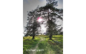Sonnenschein am Osterkopf