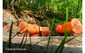 Skulptur: Erinnerung am Kleffweg Albaum