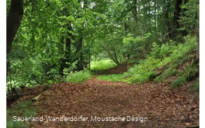 Waldweg
