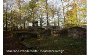 Wallburganlage auf dem Borberg