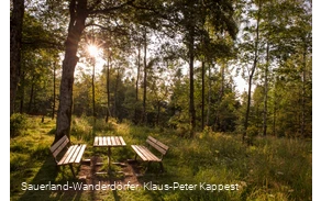 Abendstimmung am Wilzenberg auf einer kleinen Lichtung