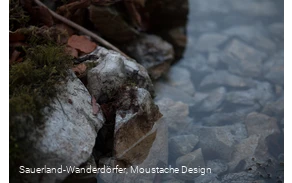 Klares Wasser der Alme Quellen