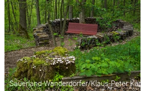 Eine rote Bank steht in einem Kreis aus Holzscheiten, die sogenannte Dichterlichtung